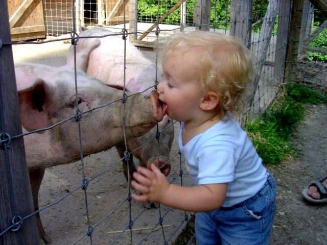 Prevent Swine Flu in Your Children's Ministry