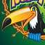 Rainforest VBS THeme