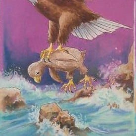 Eaglet by Jim Elliff