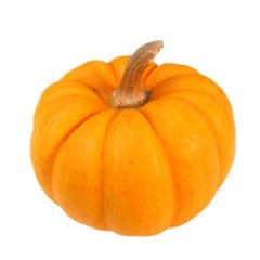 Trunk or Treat ideas