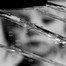 Thumbnail image for A Prayer for the Suffering Children