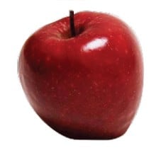 Adam and Eve Bible Lessons