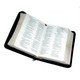 Open Bible