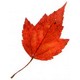 Changing Seasons Bible Lesson
