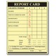 Kidin Publishers Report Card