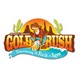 Gold Rush VBS