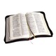 Open Bible