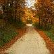 the-way-80