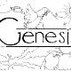 Genesis-80