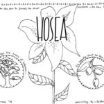 Hosea-coloring