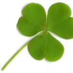 Object Lessons for the color Green