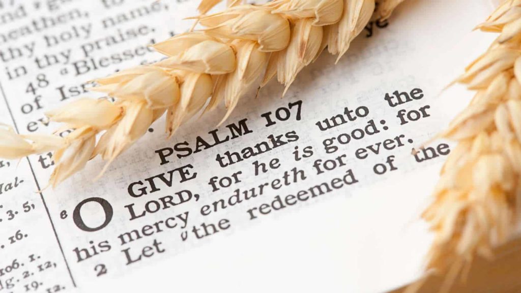 thanksgiving bible verses