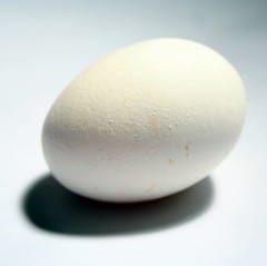 Hard Boiled Egg Object Lesson (Acts 3:19) on Salvation