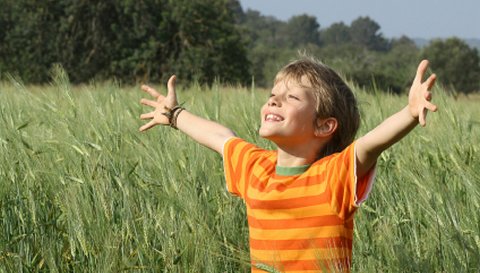 Boy praying in open field
