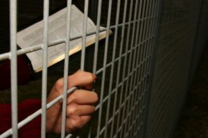 Bible and praying hands behind bars
