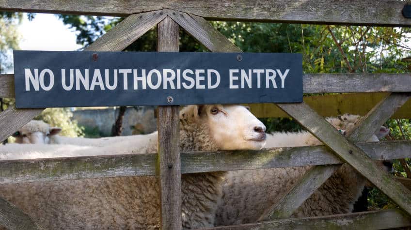 "The Gate for the Sheep" Jesus I AM lessons