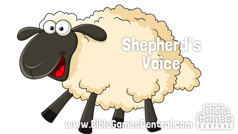Good Shepherd Game & Object Lesson - John 10:1-21 - Ministry-To-Children  Bible Games for Kids, Bible Object Lessons for Kids, John