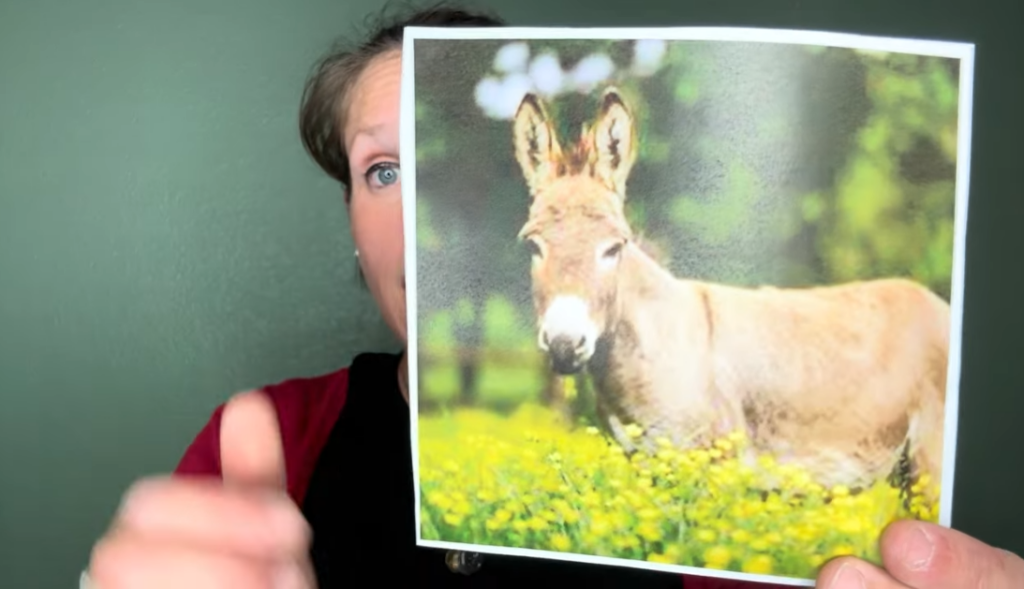 Children's Message: Balaam's Donkey
